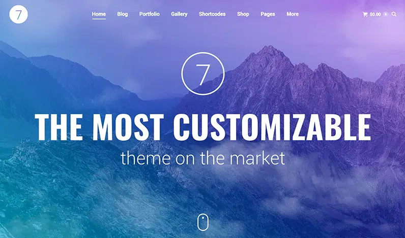 The7 - The most customizable theme on the market