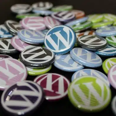 Die besten WordPress Plugins wordpress 552924 1920 Das richtige WordPress Theme für deine nächste Website